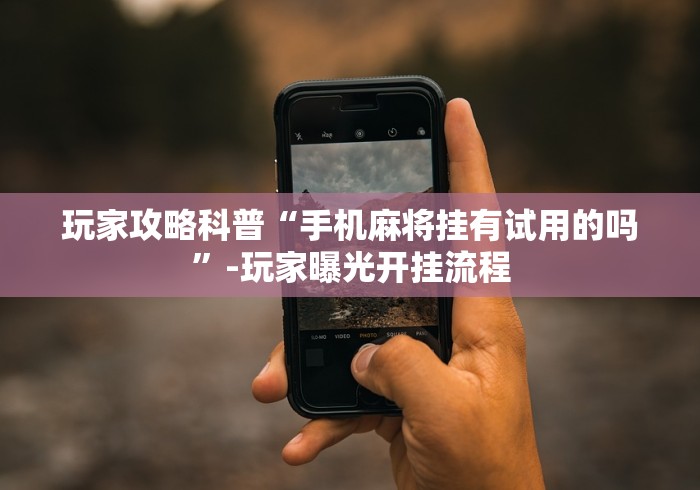 玩家攻略科普“手机麻将挂有试用的吗”-玩家曝光开挂流程