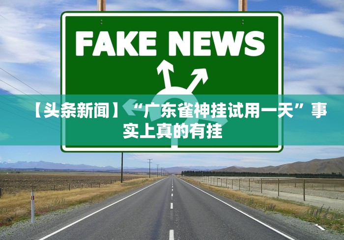 【总结文章“丰城呱呱棋牌挂试用一天(辅助外挂+教程)