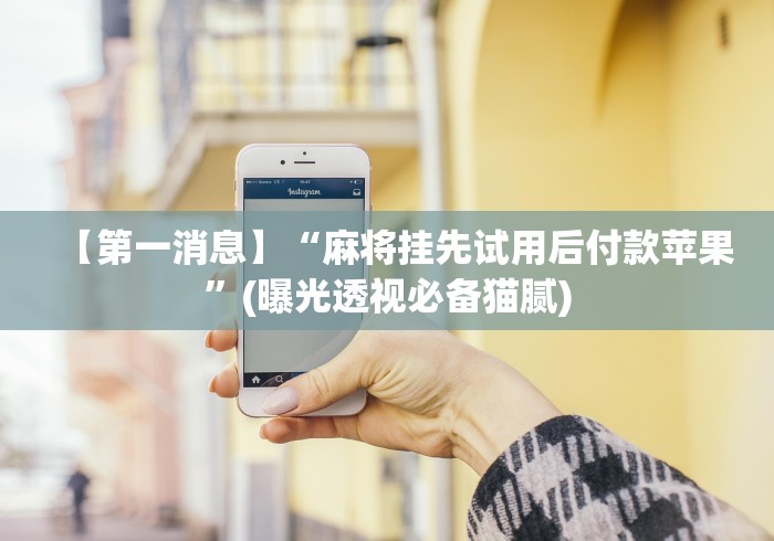 【第一消息】“麻将挂先试用后付款苹果”(曝光透视必备猫腻)