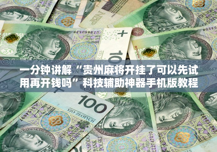 我来教教大家填大坑挂试用3天”(原来确实是有挂)