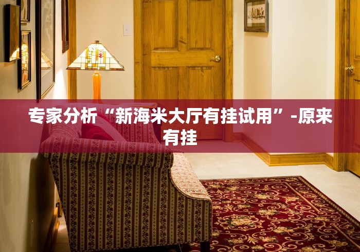 专家分析“新海米大厅有挂试用”-原来有挂