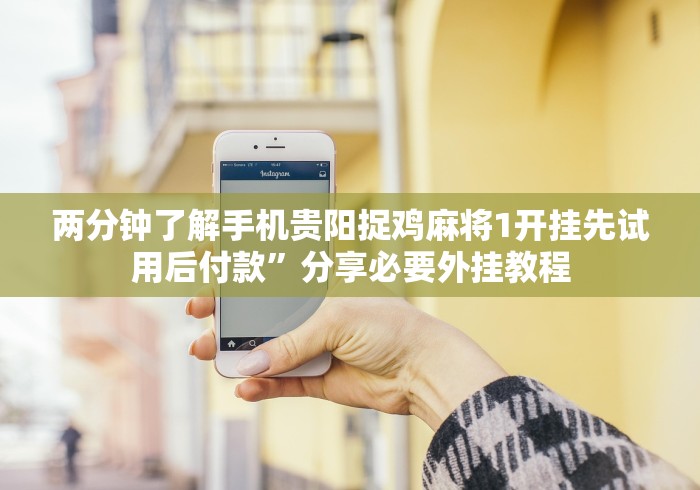 两分钟了解手机贵阳捉鸡麻将1开挂先试用后付款”分享必要外挂教程