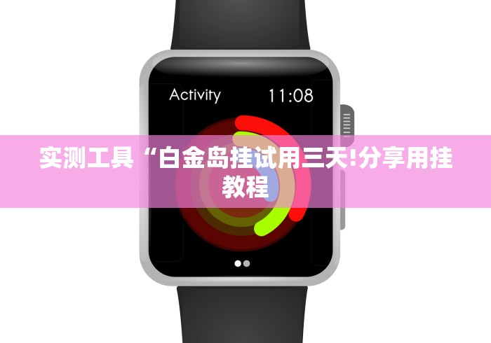 实测工具“白金岛挂试用三天!分享用挂教程