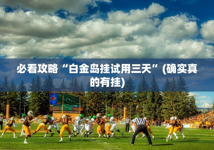 玩家辅助神器：“微乐麻将挂先试用后付款是真的吗”(原来确实是有挂)