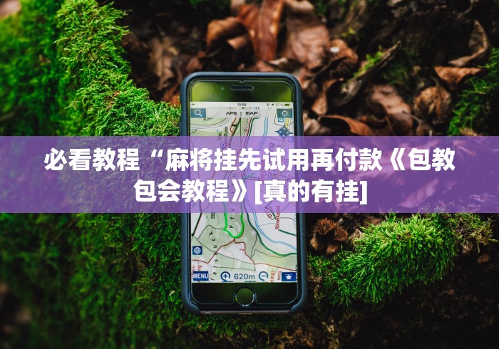 玩家辅助神器：“微乐麻将挂先试用后付款是真的吗”(原来确实是有挂)