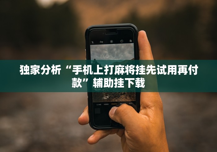 独家分析“手机上打麻将挂先试用再付款”辅助挂下载 独家分析“手机上打麻将挂先试用再付款”辅助挂下载