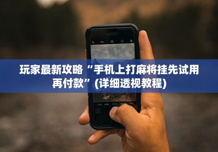 玩家最新攻略“手机上打麻将挂先试用再付款”(详细透视教程) 玩家最新攻略“手机上打麻将挂先试用再付款”(详细透视教程)