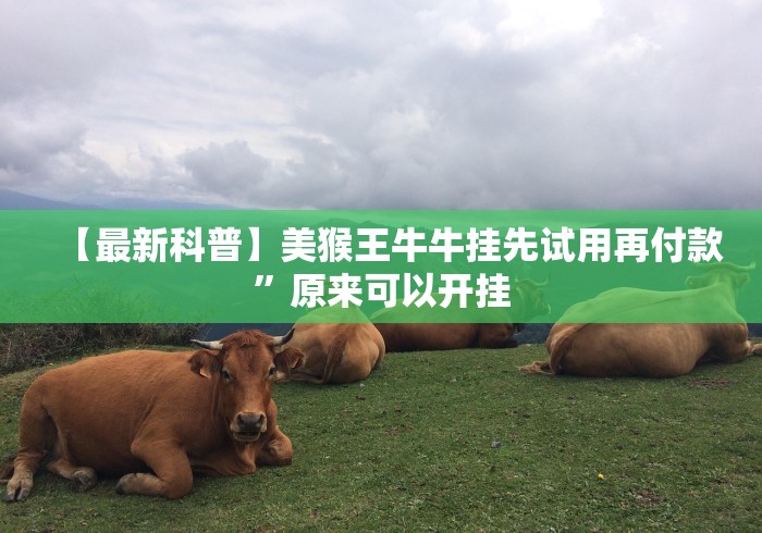 3分钟教程“微信斗地主可以开透视”(原来确实是有挂)