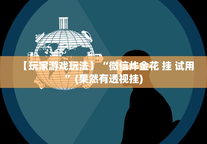 【玩家游戏玩法】“微信炸金花 挂 试用”(果然有透视挂)