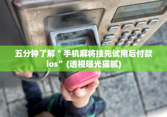 一分钟讲解“网络十三水怎么刷好牌”其实确实有挂