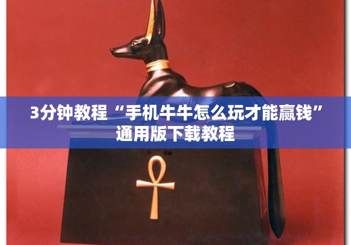 4分钟了解“上品长乐十三水怎么赢”(其实是有挂)