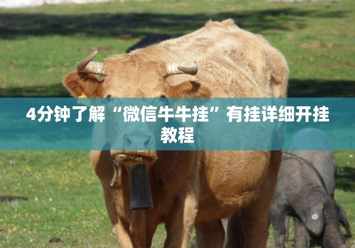 3分钟学会“大唐跑得快技巧”(透视)开挂详细教程 3分钟学会“大唐跑得快技巧”(透视)开挂详细教程