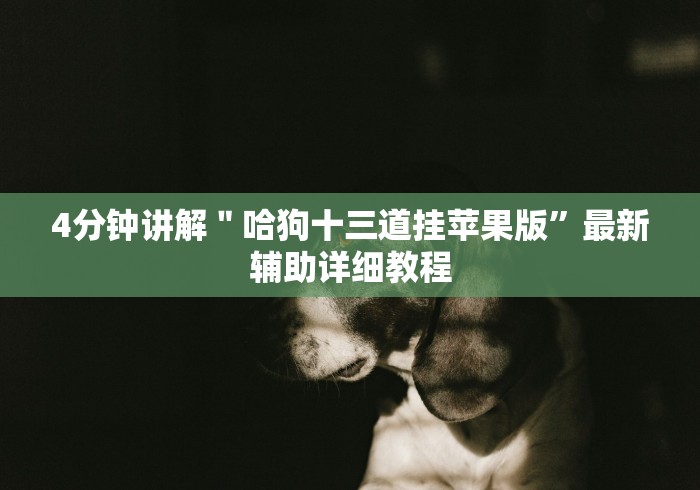 [实测]“微信斗地主万能透视软件有哪些!专业师傅带你一起了解(确实有挂)