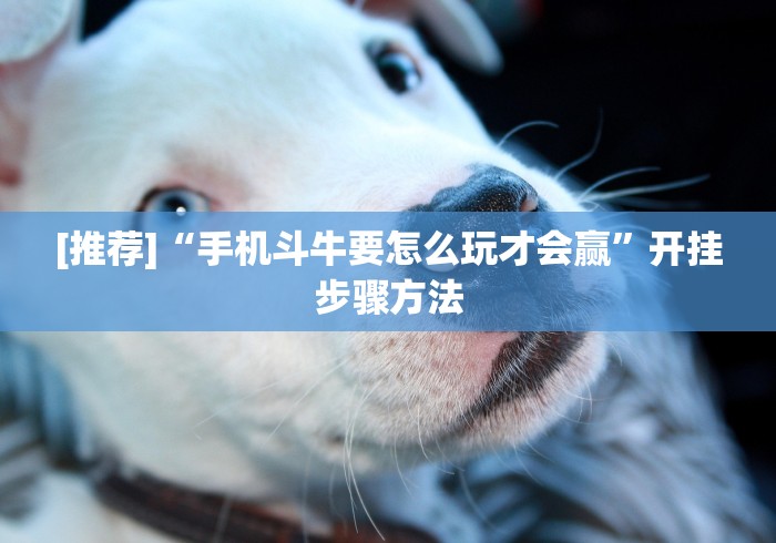 [8秒详论]“微信链接斗牛可以开挂吗”2025开挂教程步骤