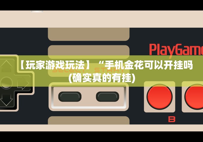 【总结文章“拼三张通用版辅助器”详细外挂安装步骤