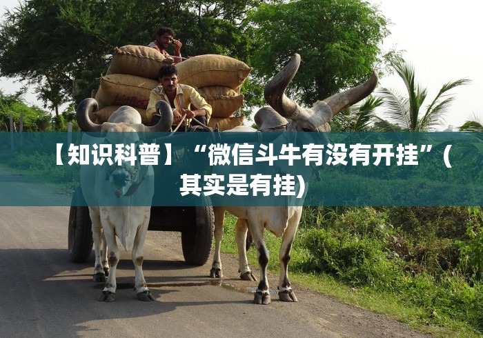 8秒详论“黑鹰众玩透视免费”有挂详细开挂教程