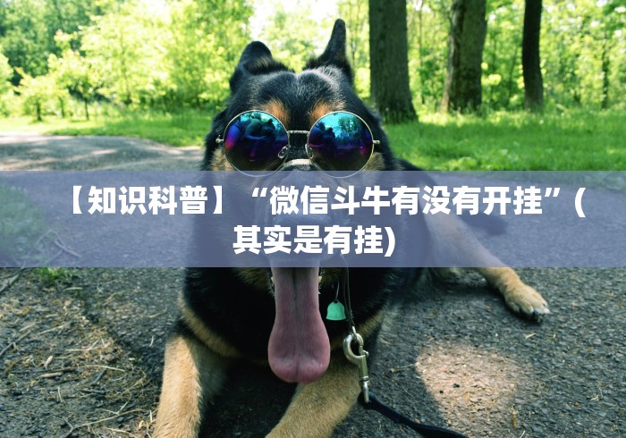 必备教程“手机十三张开挂”-开挂神器-包教包会