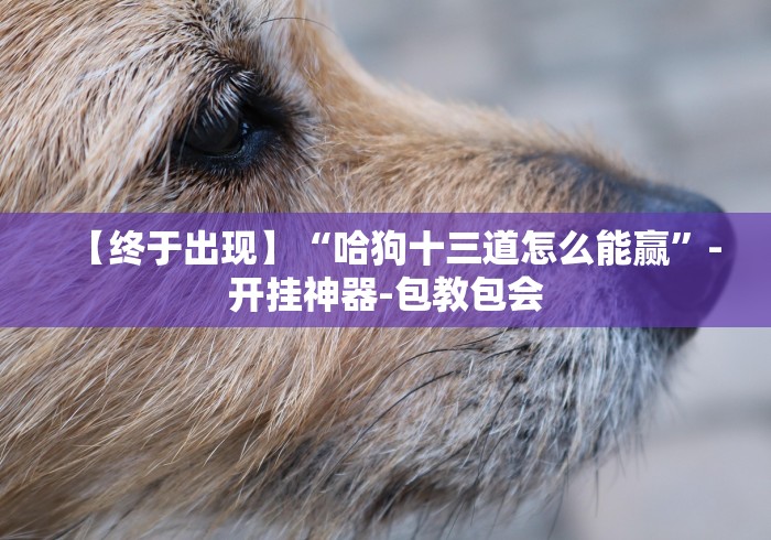 [实测]“16张跑得快记牌技巧!分享用挂教程