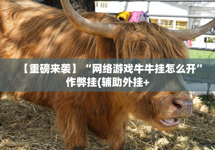 4分钟讲解＂手机上玩牛牛能赢钱的是哪个？”附开挂脚本