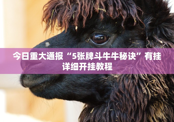 [8秒详论]“微信十三张辅助器”-原来有挂