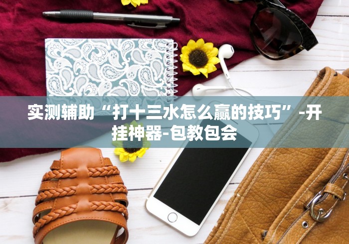 4分钟了解“吉祥填大坑辅助器”(透视)开挂详细教程