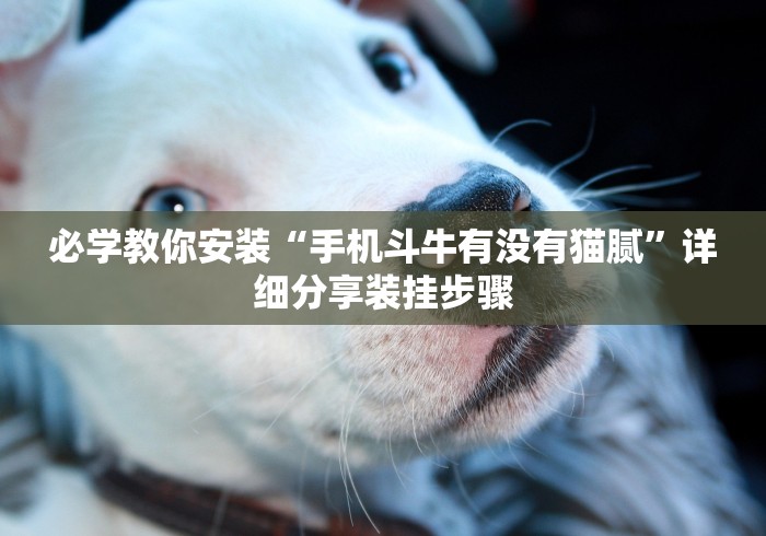 7分钟揭秘＂微乐跑胡子能不能开挂”-原来有挂