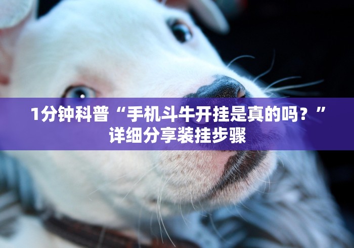 7分钟揭秘微信小程序家乡大贰透视”-玩家曝光开挂流程