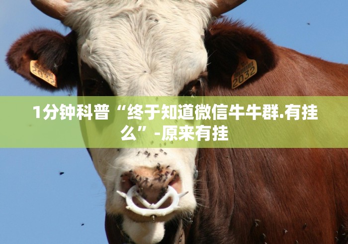 [推荐]“打罗松必胜口诀顺口溜”(透视曝光猫腻)