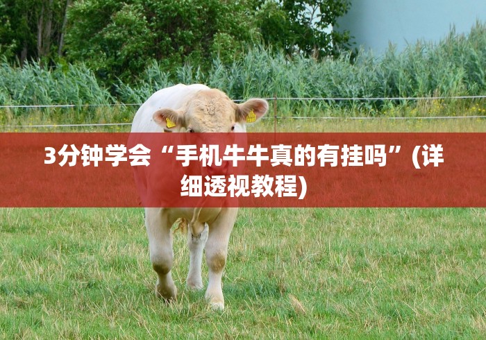 4分钟讲解＂手机斗牛能开挂吗[真的有挂]