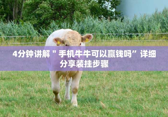 4分钟讲解＂手机牛牛可以赢钱吗”详细分享装挂步骤