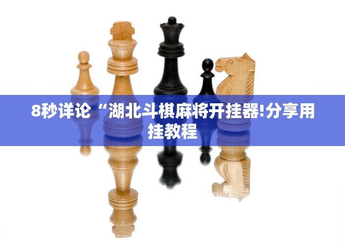 8秒详论“湖北斗棋麻将开挂器!分享用挂教程