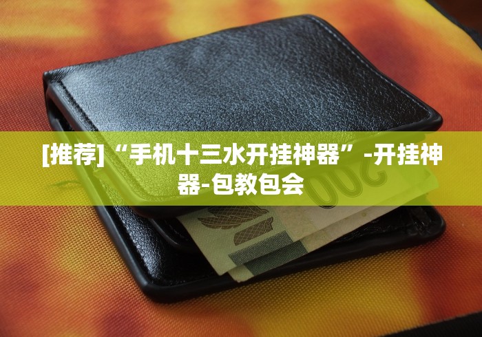 [推荐]“手机十三水开挂神器”-开挂神器-包教包会