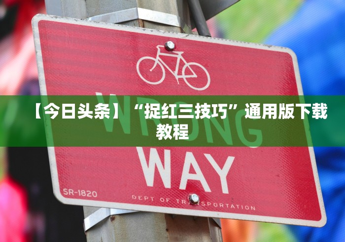 【揭秘一下】“天九牌怎么玩不输钱”(其实是有挂)