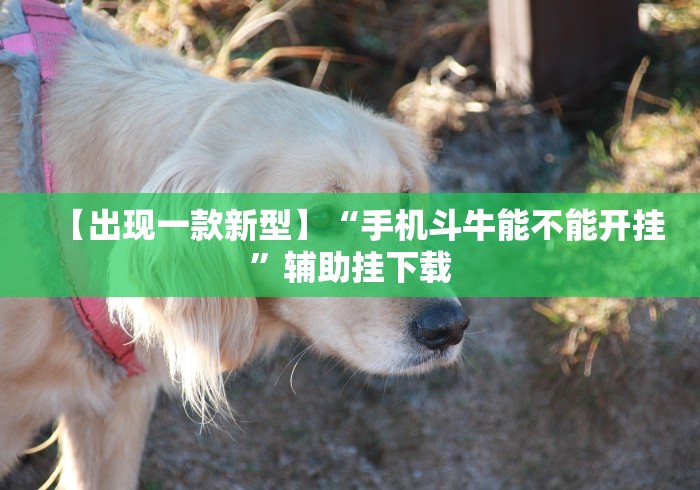 【出现一款新型】“手机斗牛能不能开挂”辅助挂下载