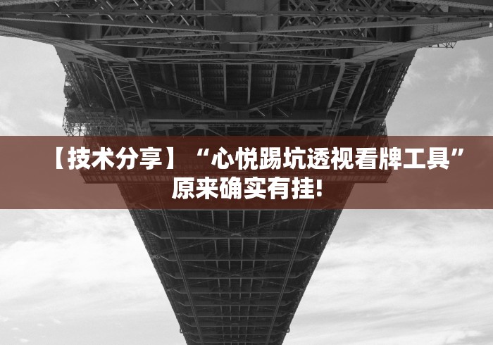 【技术分享】“心悦踢坑透视看牌工具”原来确实有挂! 【技术分享】“心悦踢坑透视看牌工具”原来确实有挂!