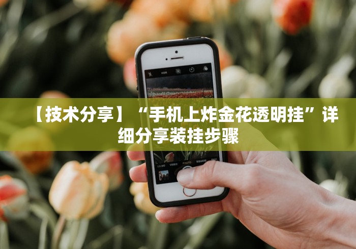 【技术分享】“手机上炸金花透明挂”详细分享装挂步骤