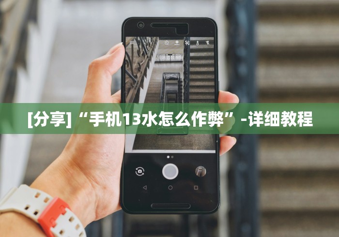 [分享]“手机13水怎么作弊”-详细教程