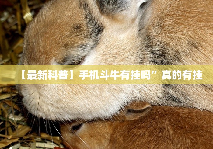 【最新科普】手机斗牛有挂吗”真的有挂 【最新科普】手机斗牛有挂吗”真的有挂