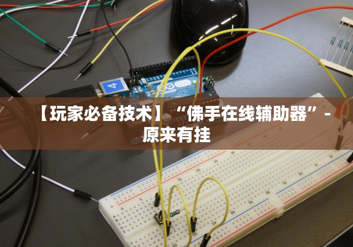 【玩家必备技术】“佛手在线辅助器”-原来有挂 【玩家必备技术】“佛手在线辅助器”-原来有挂