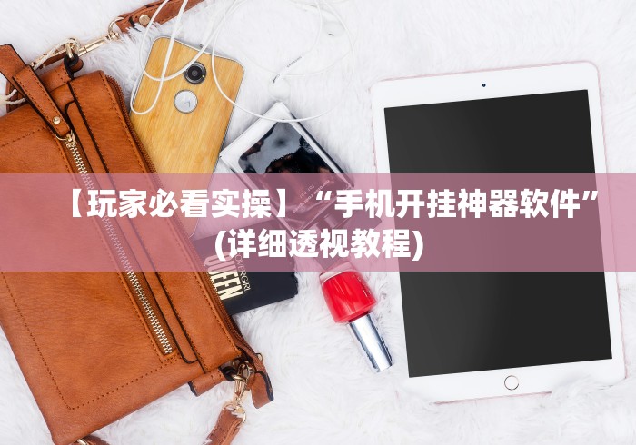 【玩家必看实操】“手机开挂神器软件”(详细透视教程)