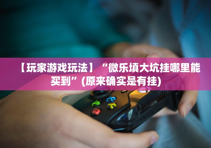 【玩家游戏玩法】“微乐填大坑挂哪里能买到”(原来确实是有挂)