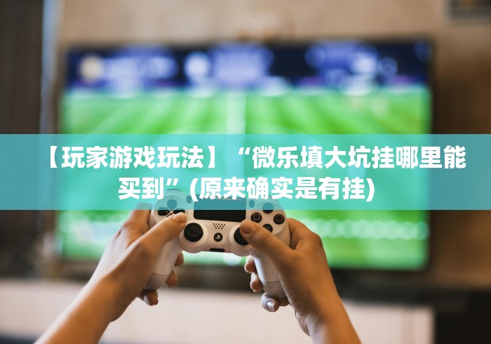 【玩家游戏玩法】“微乐填大坑挂哪里能买到”(原来确实是有挂)