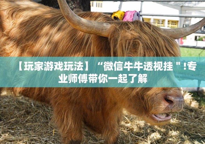 【玩家游戏玩法】“微信牛牛透视挂＂!专业师傅带你一起了解