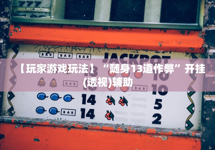 【玩家游戏玩法】“随身13道作弊”开挂(透视)辅助