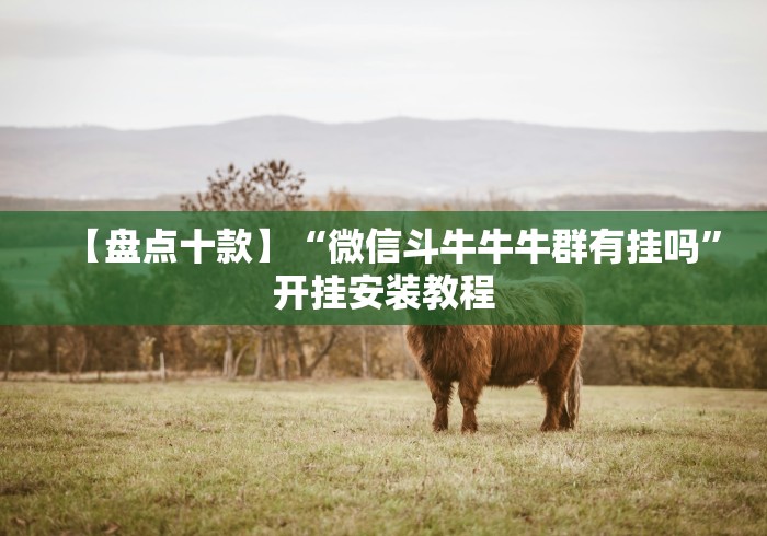 【盘点十款】“微信斗牛牛牛群有挂吗”开挂安装教程