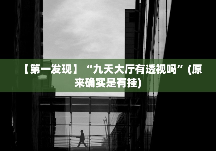 【第一发现】“九天大厅有透视吗”(原来确实是有挂)