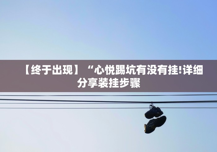 【终于出现】“心悦踢坑有没有挂!详细分享装挂步骤