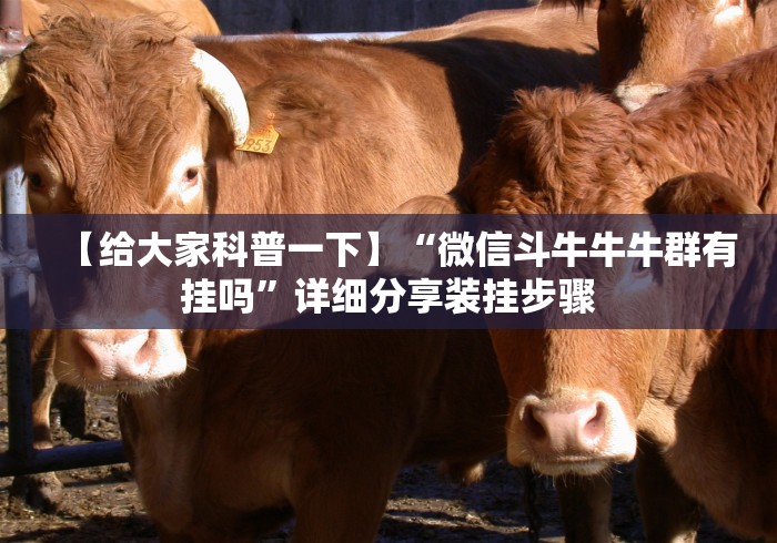 开挂辅助工具“来趣广西麻将十三张挂”作弊挂(辅助外挂+