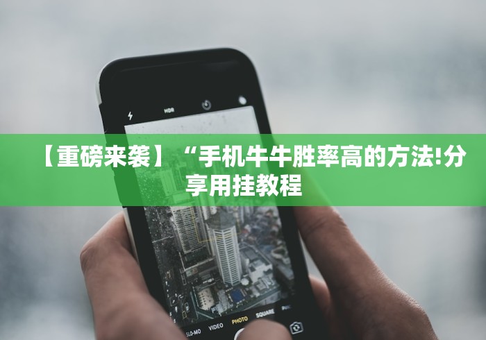 实测辅助“牛魔王连招技巧口诀”作弊挂(辅助外挂+