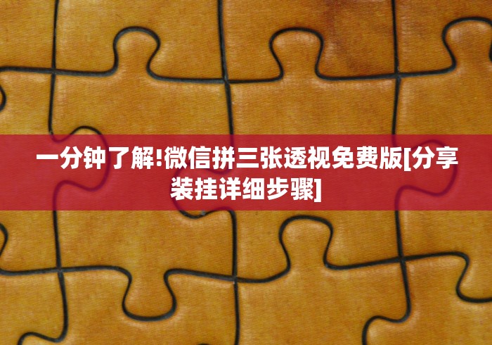全新解说大唐跑得快透视软件”附开挂脚本